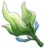 Alga fresca Icon