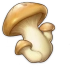 Свежий гриб Icon