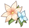 アランラナの花