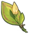 Ungeblühte Blume unbekannter Herkunft Icon