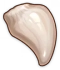 Juvenile Fang Icon