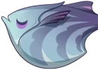 Lazurit Balta Balığı