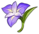 守護の花 Icon