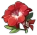 武人の赤い花