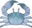 Crabe des océans