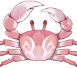 Crabe rouge clair