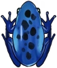 Синяя лягушка