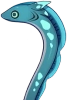 深海鰻鰻