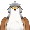 Falco ala marrone