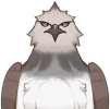 Falco coda grigia