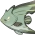 Yeşil Kırlangıç Balığı